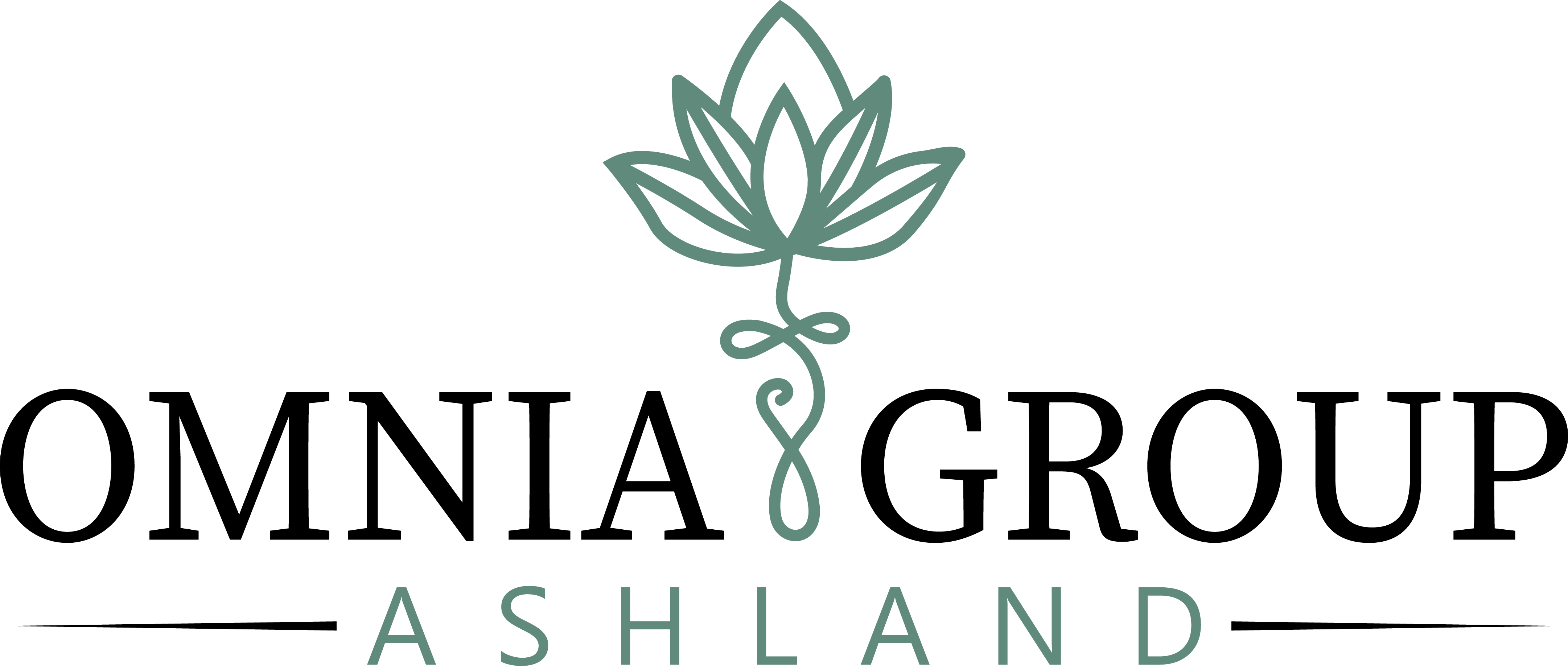 Omnia Group Ashland logo